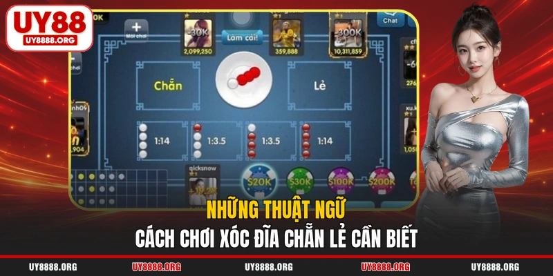 Những thuật ngữ cách chơi xóc đĩa chẵn lẻ cần biết